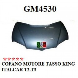 ITALCAR T2 T3 TASSO KING MOTORHAUBE