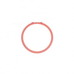 O-Ring der Kurbelwellenabdeckung auf der Schwungradseite
