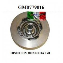 DISCO FRENO CON MOZZO D.170